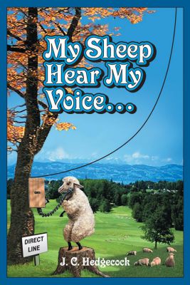 my sheep hear my voice